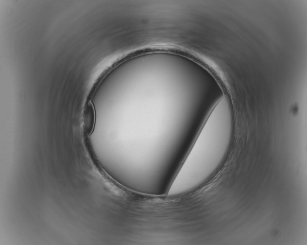 X0000089731327200706210908