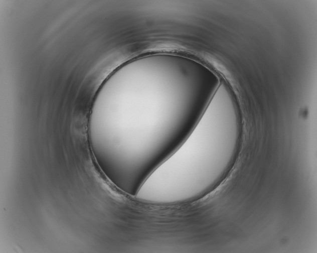 X0000089731329200706210908