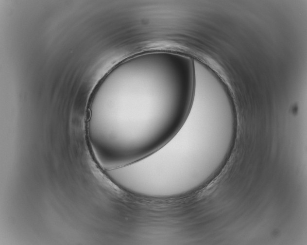 X0000089731330200706210908
