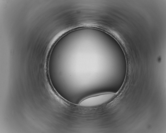 X0000089731331200706210908