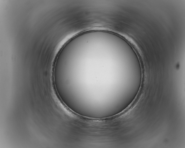 X0000089731333200706210908