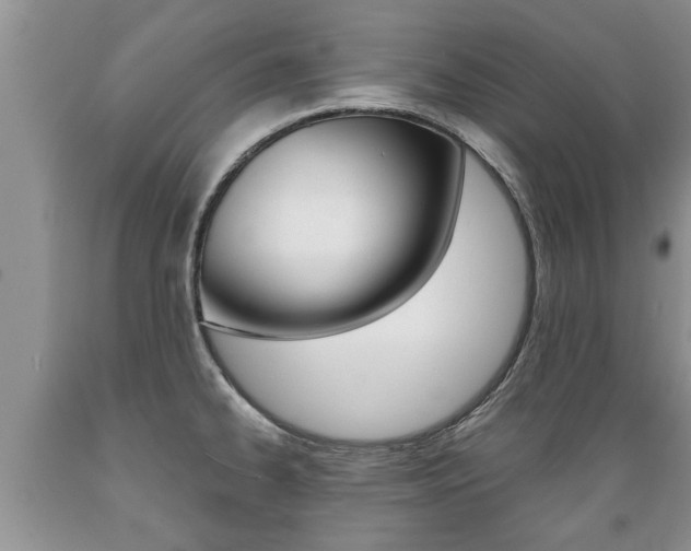 X0000089731334200706210908