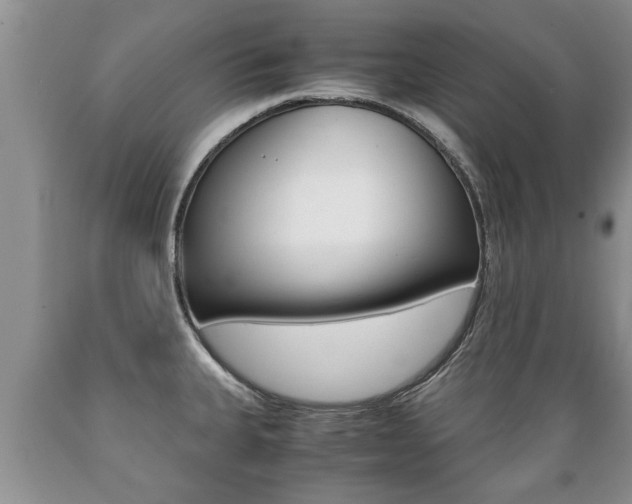 X0000089731335200706210908