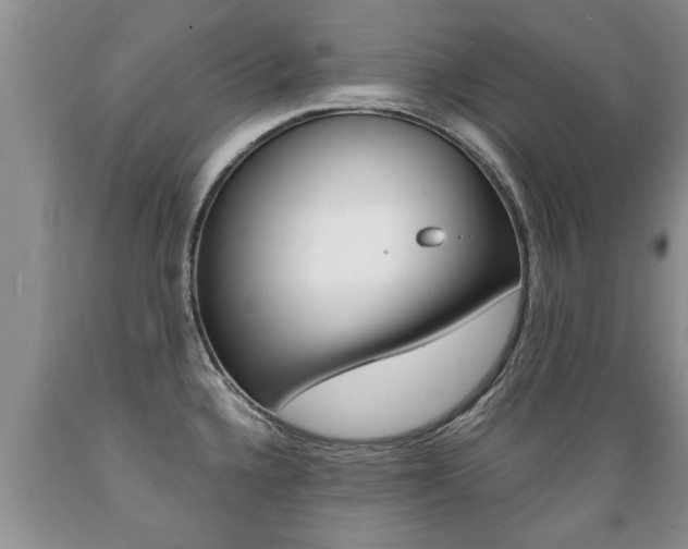X0000089731336200706210908