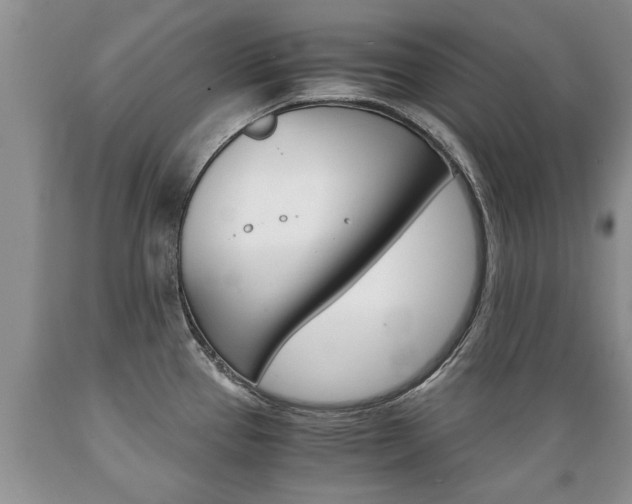 X0000089731337200706210908