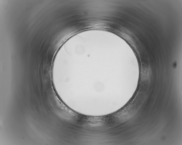 X0000089731338200706210908
