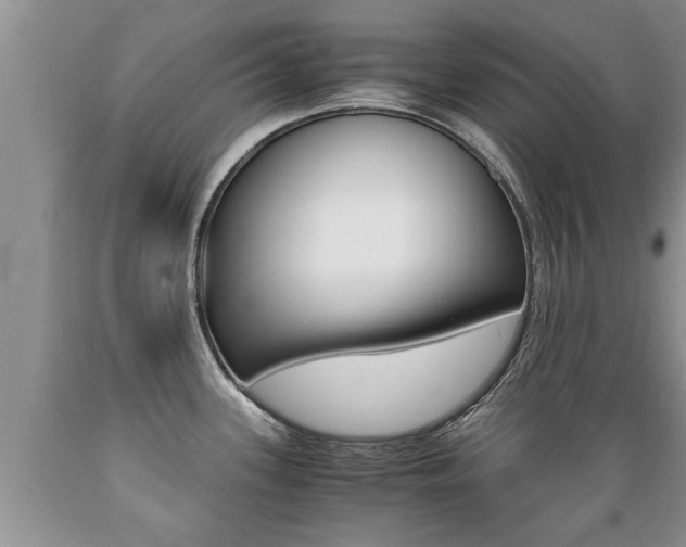 X0000089731339200706210908
