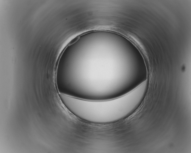 X0000089731340200706210908