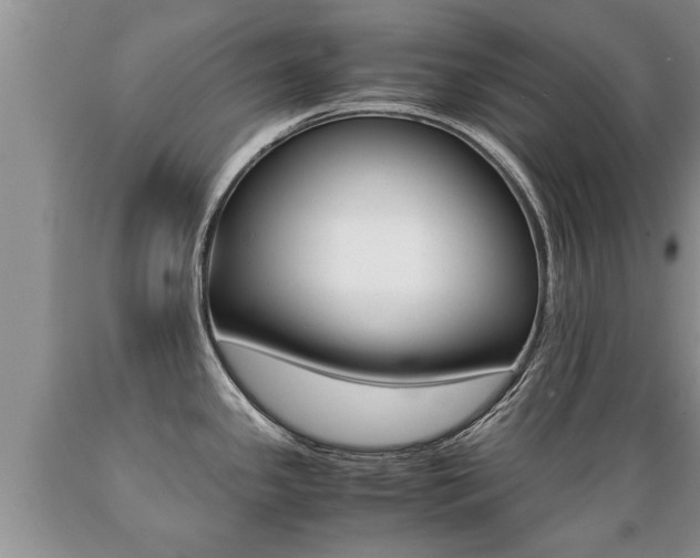X0000089731341200706210908