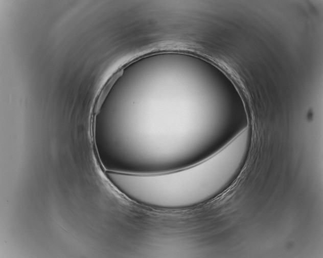 X0000089731342200706210908