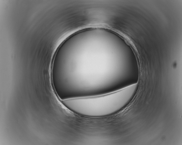 X0000089731343200706210908