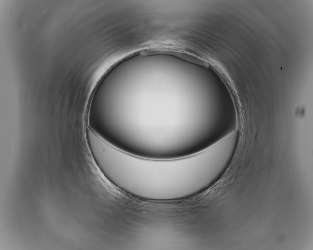 X0000089731344200706210908