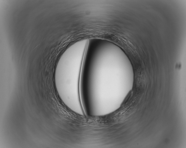X0000089731345200706210907