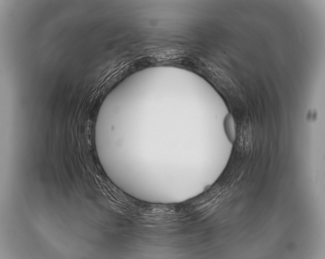 X0000089731346200706210907