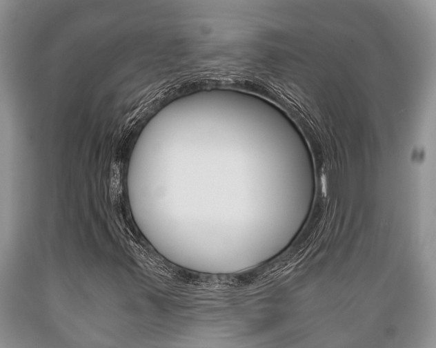 X0000089731347200706210907
