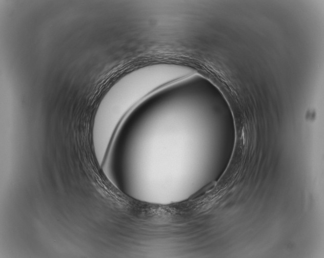X0000089731348200706210907