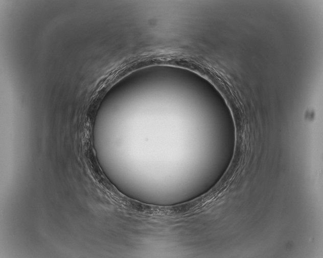 X0000089731349200706210907
