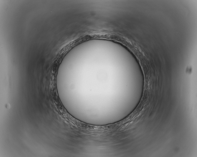 X0000089731350200706210907