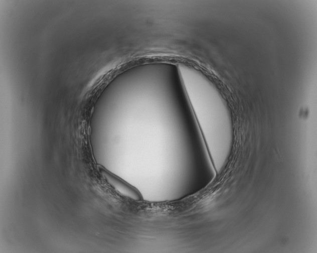 X0000089731351200706210907