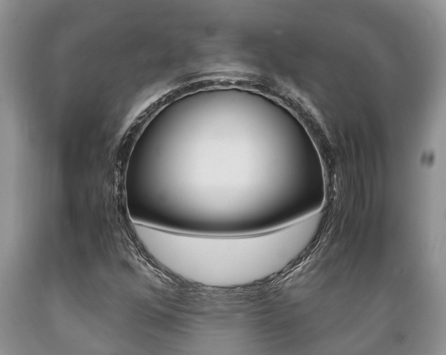 X0000089731352200706210907