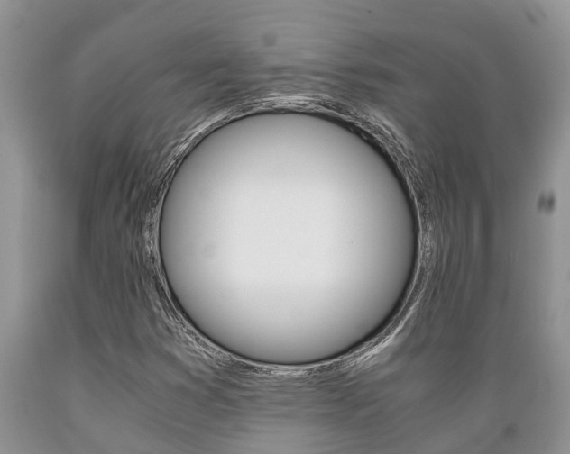 X0000089731353200706210907