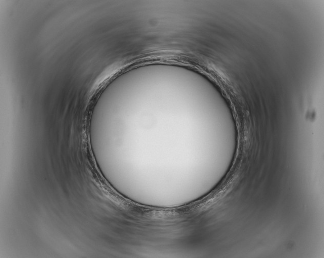 X0000089731354200706210907