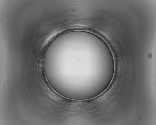 X0000089731355200706210907