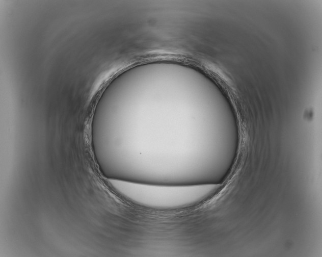 X0000089731357200706210907