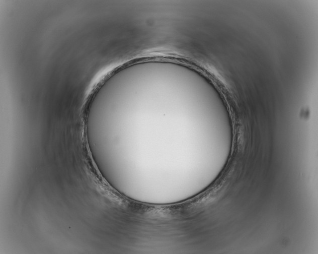 X0000089731358200706210907