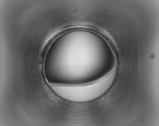 X0000089731360200706210907