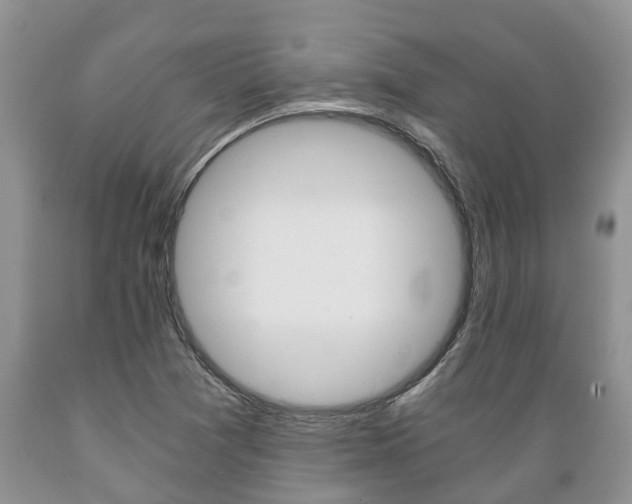 X0000089731361200706210907