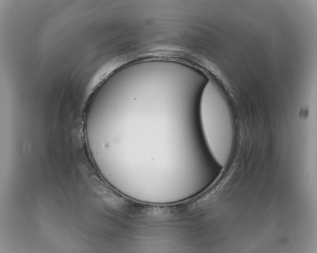 X0000089731362200706210907