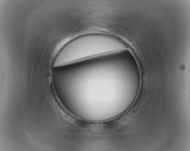 X0000089731363200706210907