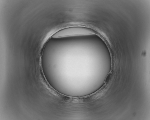 X0000089731365200706210907