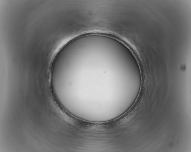 X0000089731367200706210907