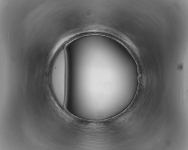 X0000089731368200706210907