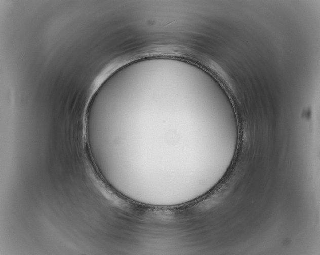 X0000089731370200706210907