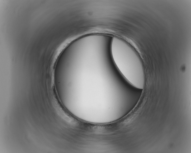 X0000089731371200706210907