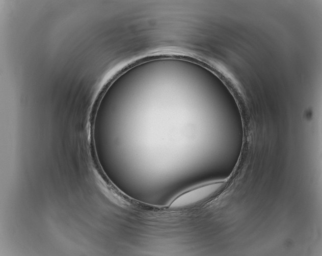 X0000089731372200706210907