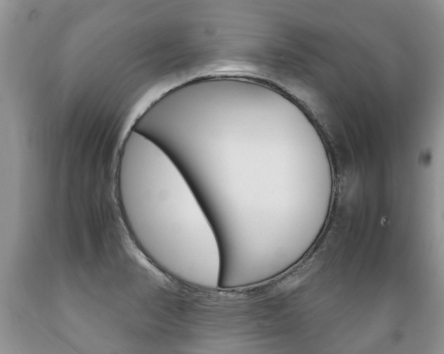X0000089731374200706210907