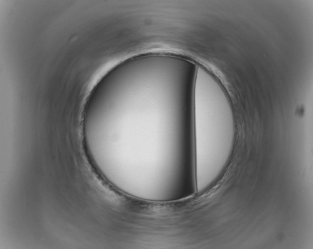 X0000089731375200706210907