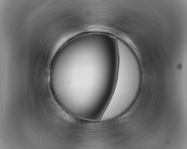 X0000089731376200706210907