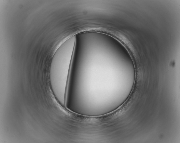X0000089731377200706210907