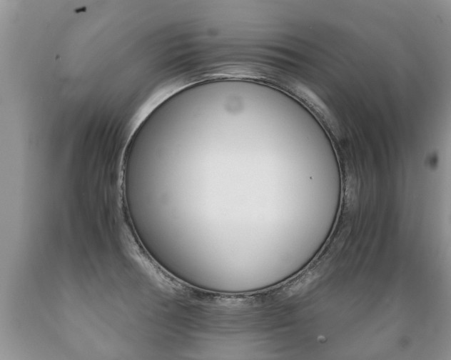 X0000089731378200706210907