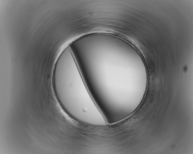 X0000089731379200706210907