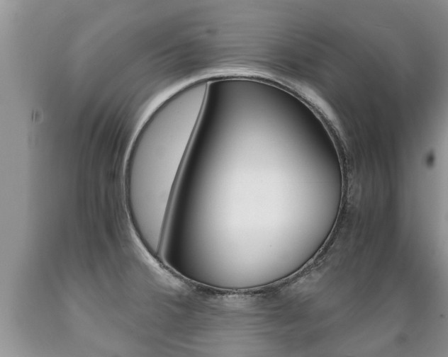 X0000089731380200706210907