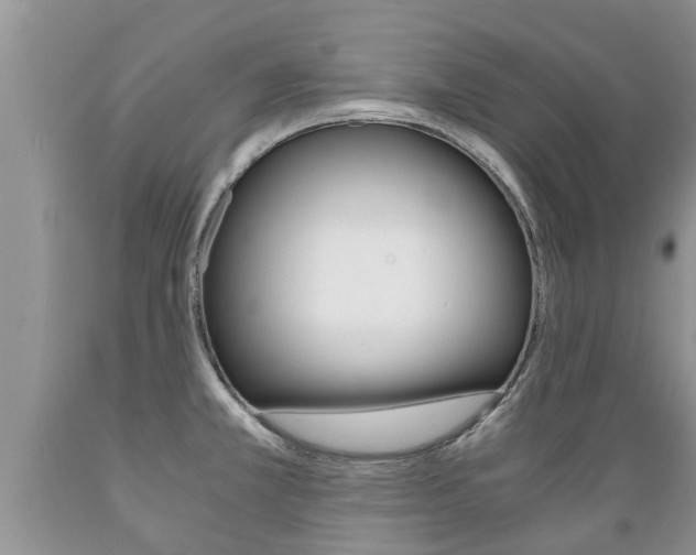 X0000089731381200706210907