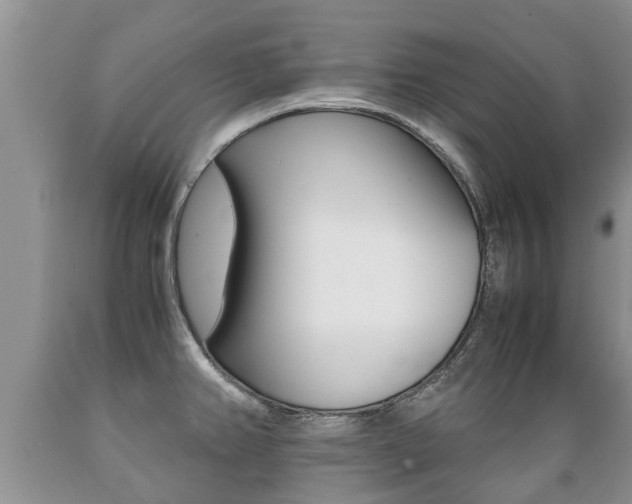 X0000089731382200706210907