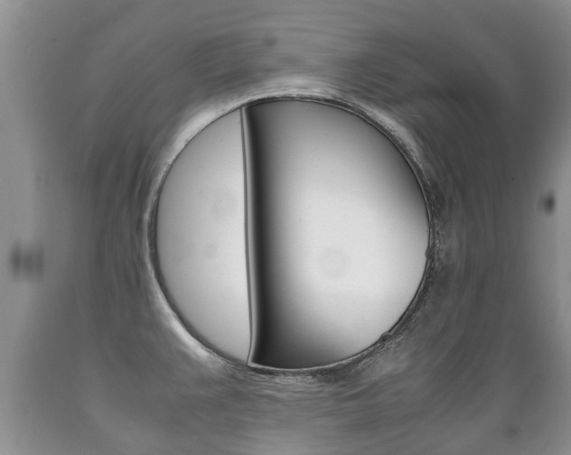 X0000089731383200706210907