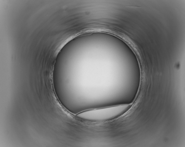 X0000089731385200706210907